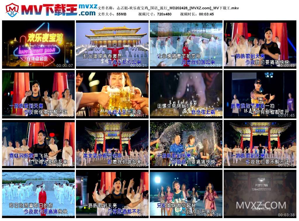 忐忑姐-欢乐夜宝鸡_国语_流行_MD202428